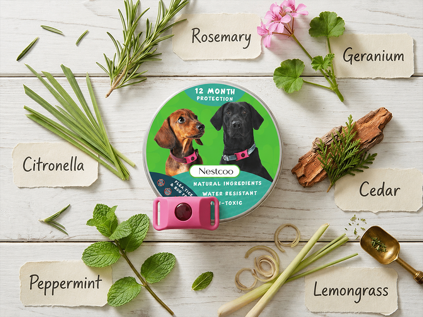 Long‑Lasting Flea & Tick Protection for Pets