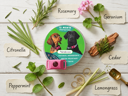 Long‑Lasting Flea & Tick Protection for Pets
