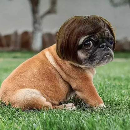 Funny Pet Wig Hair Accessories for Dogs & Cats