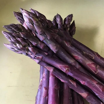 🌿Perennial Asparagus Seeds – Tender Green Garden Vegetable Seeds for Home Planting