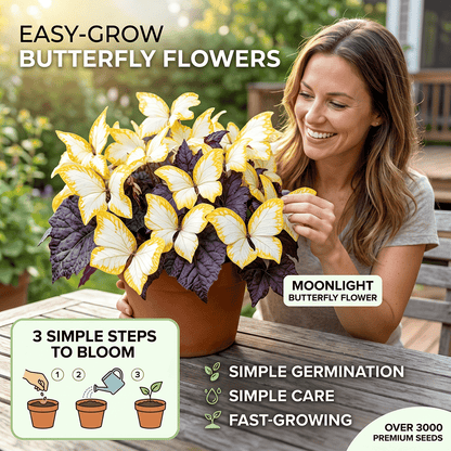 ✨Easy-to-Grow Seeds — Butterfly Blooms for a Living Garden