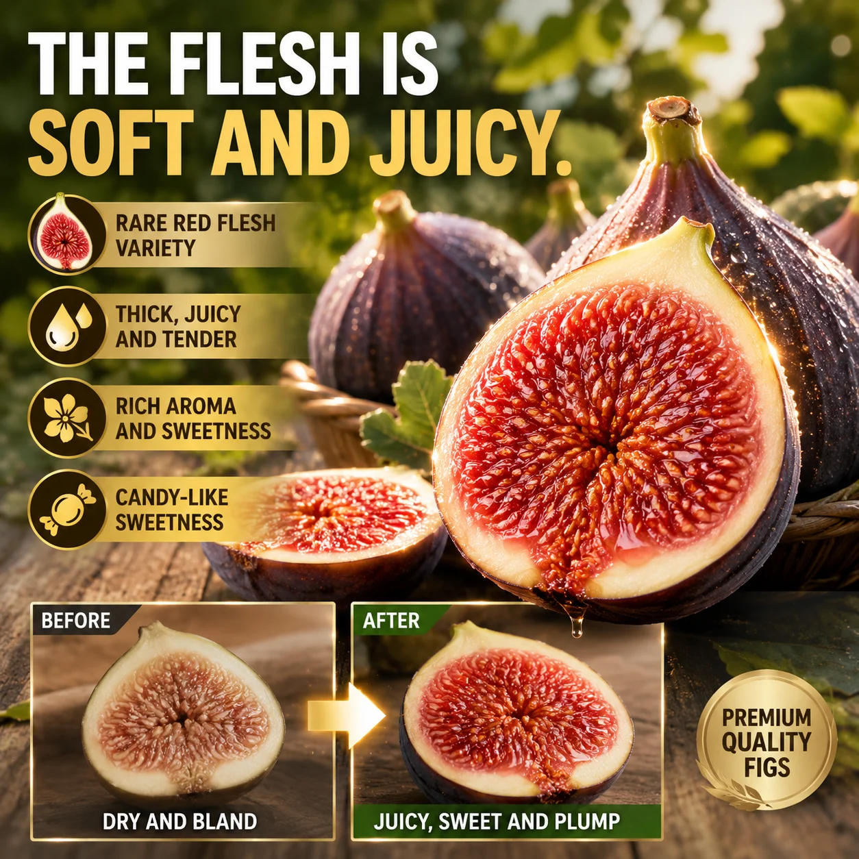 🌳🌳 High-Yield Dwarf Fig Tree – Fast-Growing, Sweet & Crisp Fruit, Perfect for Pots, Balconies & Farms