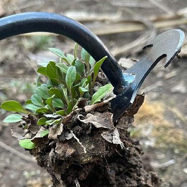 The “Root Resurrection Effect” — Why Your Weeding Tools Are Secretly Designed to Fail