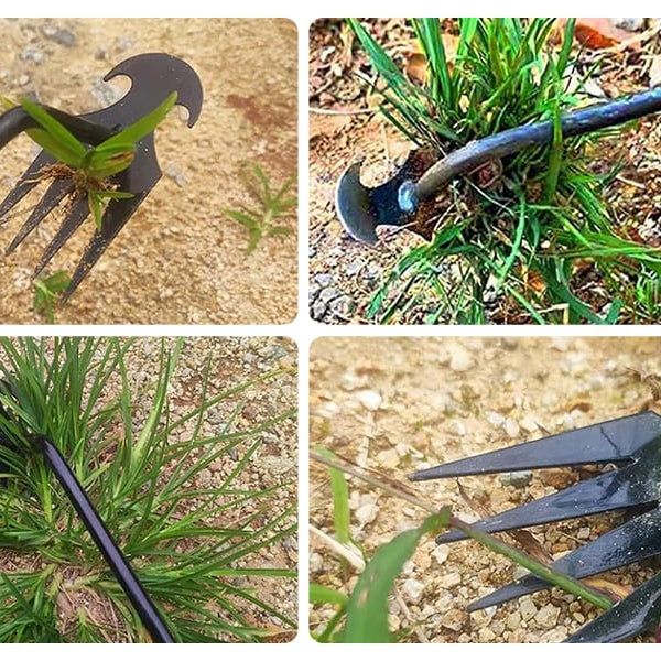 The “Root Resurrection Effect” — Why Your Weeding Tools Are Secretly Designed to Fail