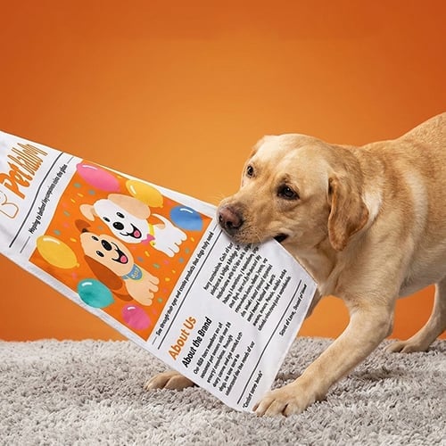 🐾📰 Interactive Pet Newspaper Toy