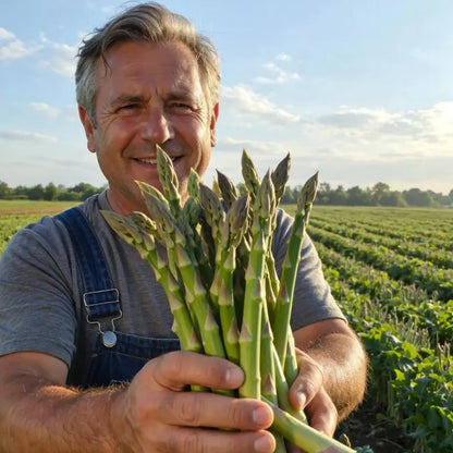🌿Perennial Asparagus Seeds – Tender Green Garden Vegetable Seeds for Home Planting
