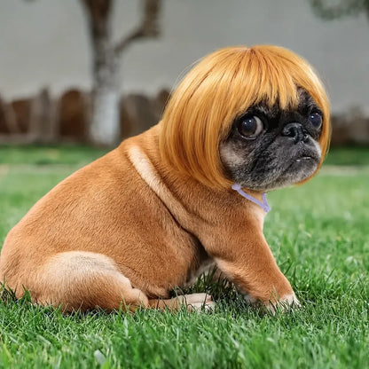 Funny Pet Wig Hair Accessories for Dogs & Cats