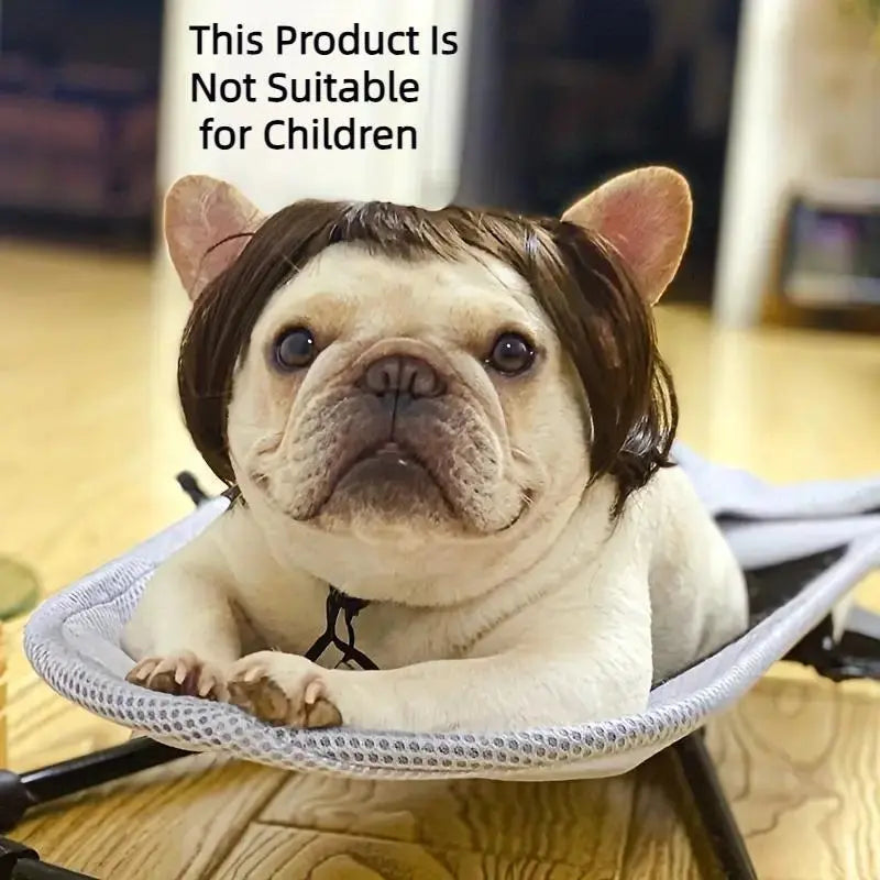 Funny Pet Wig Hair Accessories for Dogs & Cats
