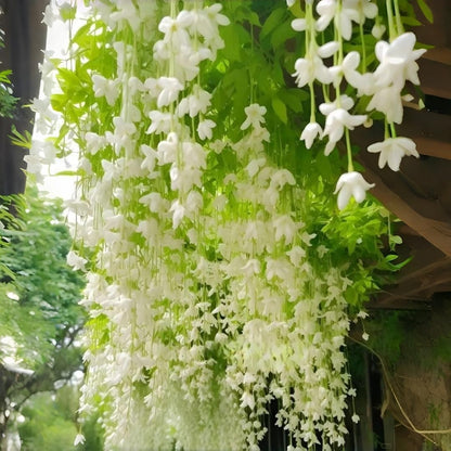 Weeping Jasmine Seeds | Fragrant Trailing White Climbing Vine