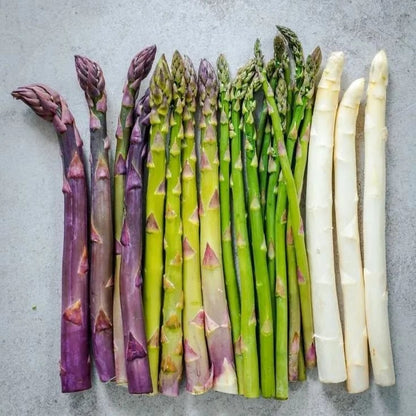 🌿Perennial Asparagus Seeds – Tender Green Garden Vegetable Seeds for Home Planting