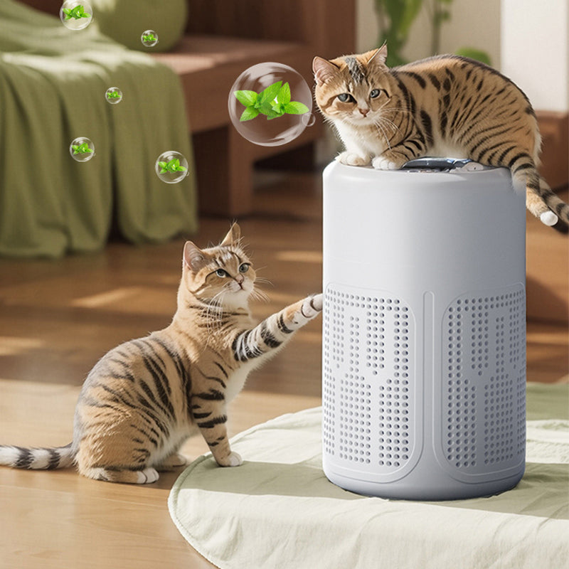 🥳💞 Silent Air Purifier – Multi‑layer filtration, ultra‑quiet sleep mode! 🛌✨